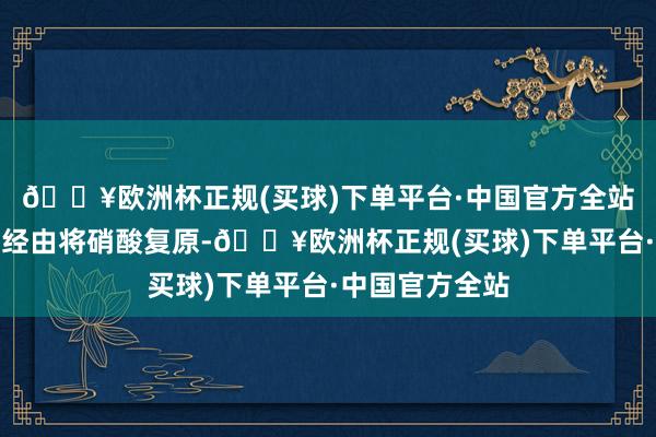 🔥欧洲杯正规(买球)下单平台·中国官方全站再应用电化学经由将硝酸复原-🔥欧洲杯正规(买球)下单平台·中国官方全站