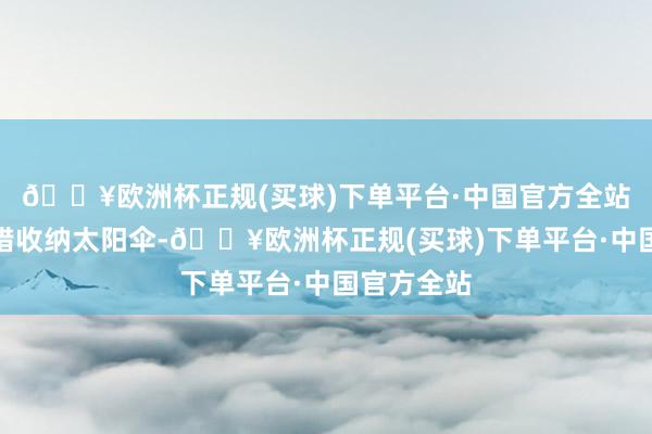 🔥欧洲杯正规(买球)下单平台·中国官方全站傍边也不错收纳太阳伞-🔥欧洲杯正规(买球)下单平台·中国官方全站