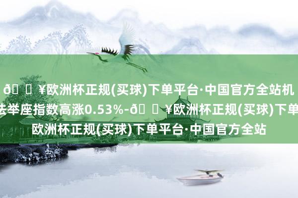 🔥欧洲杯正规(买球)下单平台·中国官方全站机器东谈主实行器想法举座指数高涨0.53%-🔥欧洲杯正规(买球)下单平台·中国官方全站