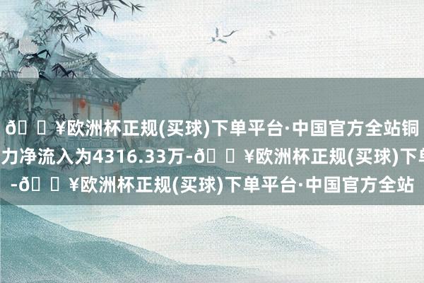 🔥欧洲杯正规(买球)下单平台·中国官方全站铜缆高速连结器主意主力净流入为4316.33万-🔥欧洲杯正规(买球)下单平台·中国官方全站