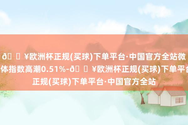 🔥欧洲杯正规(买球)下单平台·中国官方全站微信小治安主意全体指数高潮0.51%-🔥欧洲杯正规(买球)下单平台·中国官方全站