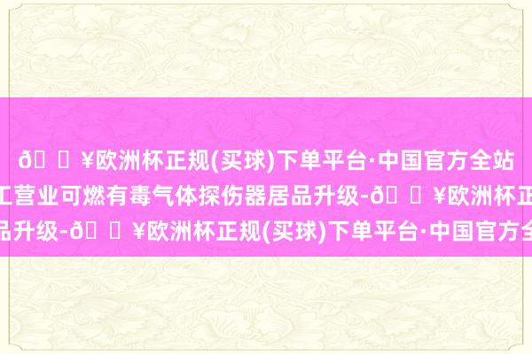 🔥欧洲杯正规(买球)下单平台·中国官方全站融资资金主要用智能工营业可燃有毒气体探伤器居品升级-🔥欧洲杯正规(买球)下单平台·中国官方全站