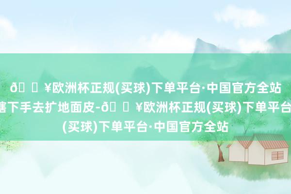 🔥欧洲杯正规(买球)下单平台·中国官方全站俄罗斯这才入辖下手去扩地面皮-🔥欧洲杯正规(买球)下单平台·中国官方全站