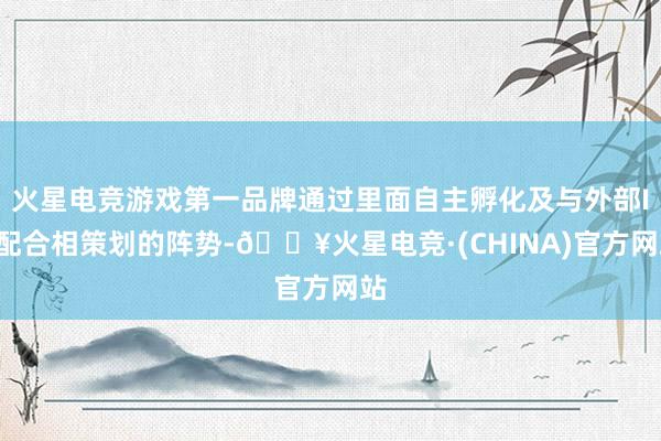 火星电竞游戏第一品牌通过里面自主孵化及与外部IP配合相策划的阵势-🔥火星电竞·(CHINA)官方网站